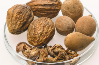 Haritaki in Skincare: Detox, Soothe, and Strengthen Skin