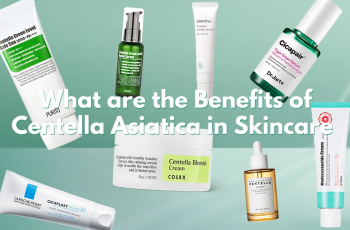 Cica for Skin: Anti-Aging, Soothing, and Repair Benefits