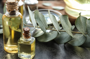 Eucalyptus Oil in Skin Care: Benefits, Risks, and Safe Uses Eucalyptus Oil in Skin Care: Benefits, Risks, and Safe Uses